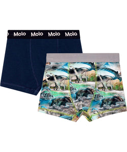 Molo - Justin Organic Boxershorts 2 pack - Dino Universe