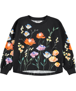 Molo - Reniza - Flower Picking