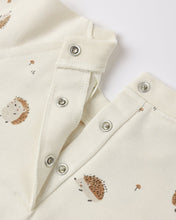 Load image into Gallery viewer, Rylee + Cru - Raglan Jumpsuit - Hedgehog
