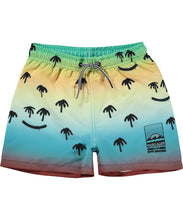 Load image into Gallery viewer, Molo - Niko Swim Short - Palm Spray