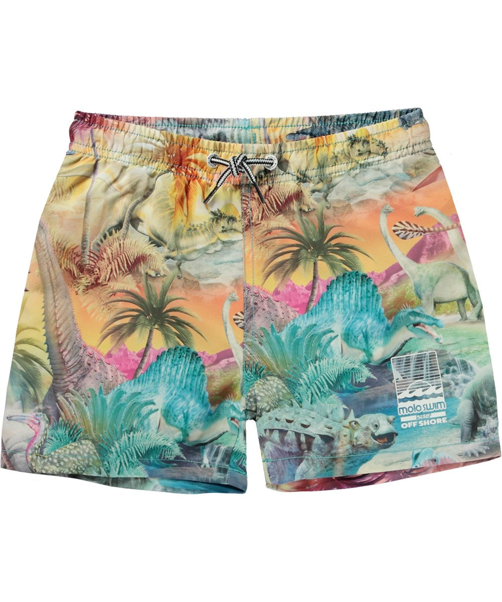 Molo - Niko Swim Short - Dino Paradis