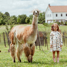 Load image into Gallery viewer, Pink Chicken - Girls Autumn Dress - Horse Breeds