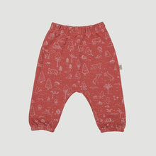 Load image into Gallery viewer, Red Caribou - Pima Cotton Joggers - The Story Brick Red