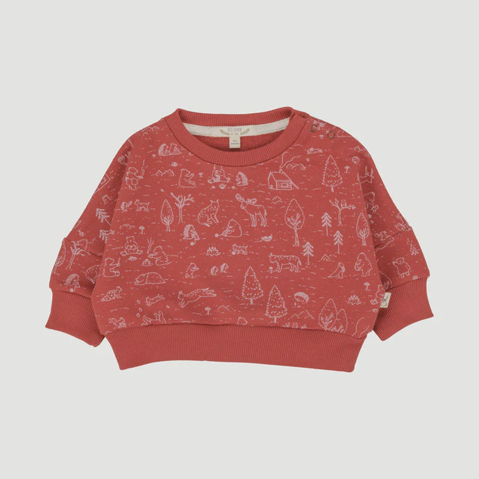 Red Caribou - Pima Cotton Sweatshirt - The Story