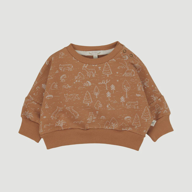 Red Caribou - Pima Cotton Sweatshirt - The Story Copper