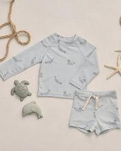 Load image into Gallery viewer, RYLEE + CRU - BOYS RASHGUARD SET - SEALS