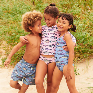 Pink Chicken - Boys Swim Trunk - Bluestone Multi Fishies