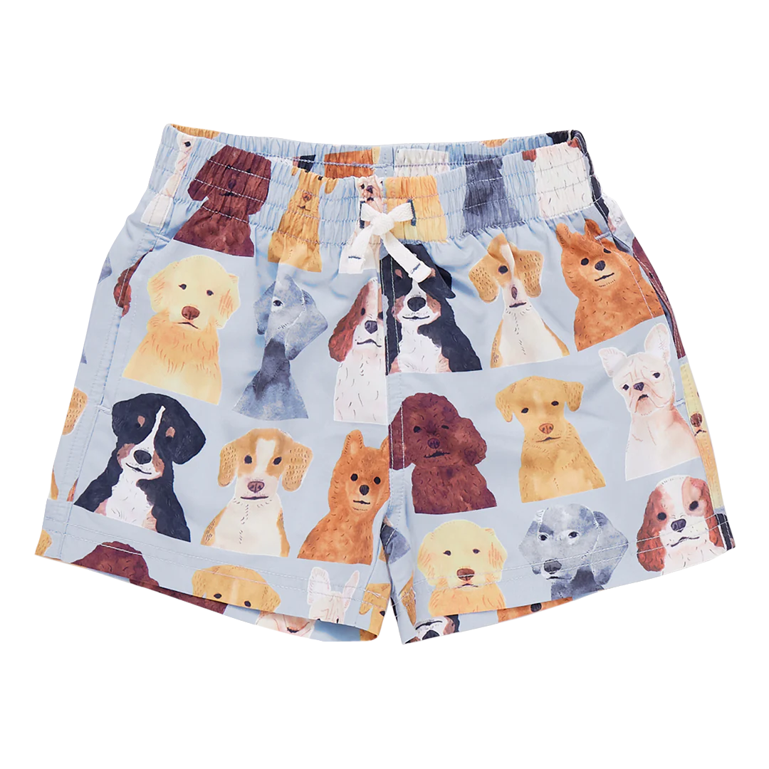 Pink Chicken - Boys Swim Trunk - Light Blue Watercolor Dogs