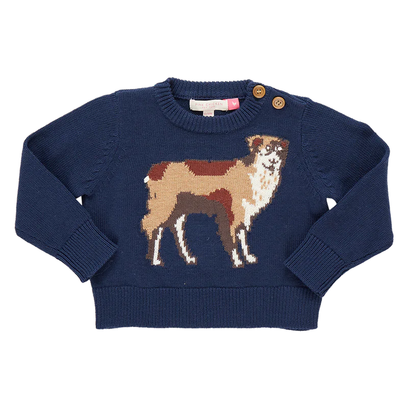 Pink Chicken - Baby Boys Oliver Sweater - Happy Dog