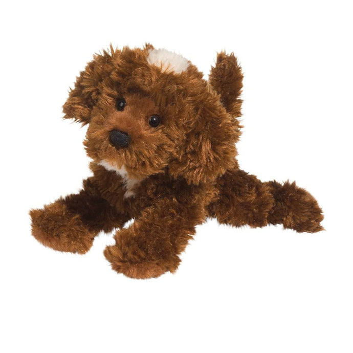 Douglas - Bosco Chocolate Labradoodle