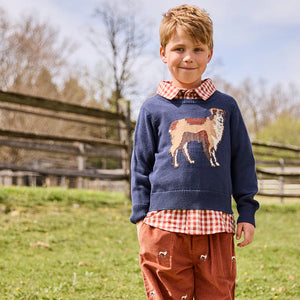 Pink Chicken - Boys Oliver Sweater - Happy Dog