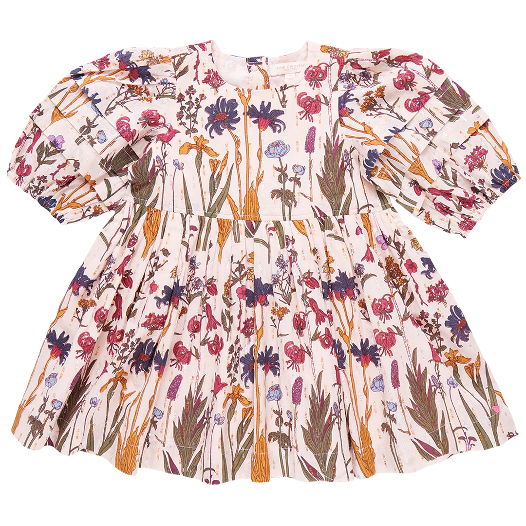 Pink Chicken - Girls Brooke Dress - Autumn Flowers