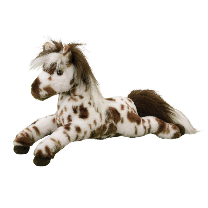 Douglas - Duke Appaloosa Horse