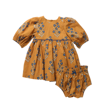 Load image into Gallery viewer, Pink Chicken - Baby Girls Brook Dress Set - Harvest Dewdrop