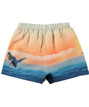 Load image into Gallery viewer, Molo - Newton Baby Swim Shorts - Ocean Smile