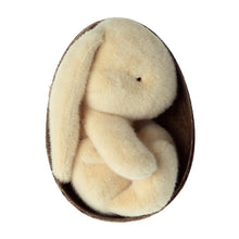 Load image into Gallery viewer, Plush Bunny in Egg