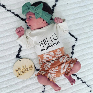 Tenth & Pine - Long Sleeve Organic Bodysuit - Hello I'm New Here