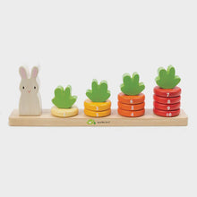 Load image into Gallery viewer, Tender Leaf Toys - Counting Carrots