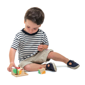 Tender Leaf Toys - Baby Blocks