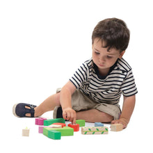 Load image into Gallery viewer, Tender Leaf Toys - Nursery Blocks
