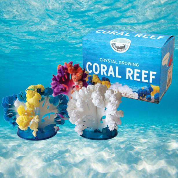 Copernicus Toys - Crystal Growing Coral Reef