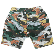 Load image into Gallery viewer, Rock Your Baby - Dino Stampede Shorts - Multicolored