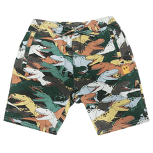 Load image into Gallery viewer, Rock Your Baby - Dino Stampede Shorts - Multicolored