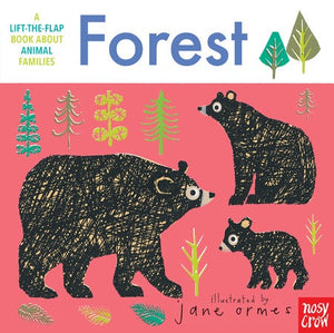 Animal Families - Forest - Lift The Flap Book
