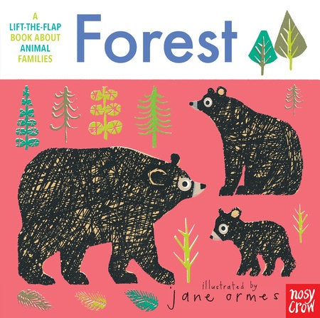 Animal Families - Forest - Lift The Flap Book