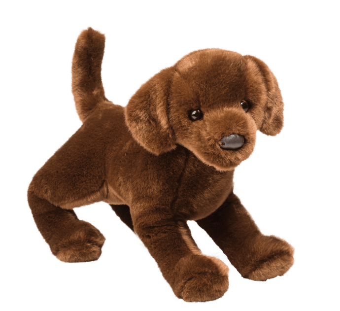 Cocoa Chocolate Lab