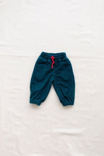 Load image into Gallery viewer, Fin &amp; Vince - Polar Fleece Pants - Ocean