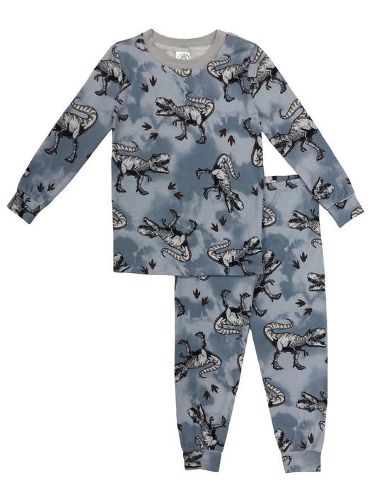 Esme - Tween Boys LS Crew Neck Full Length Set - Blue Dinosaur