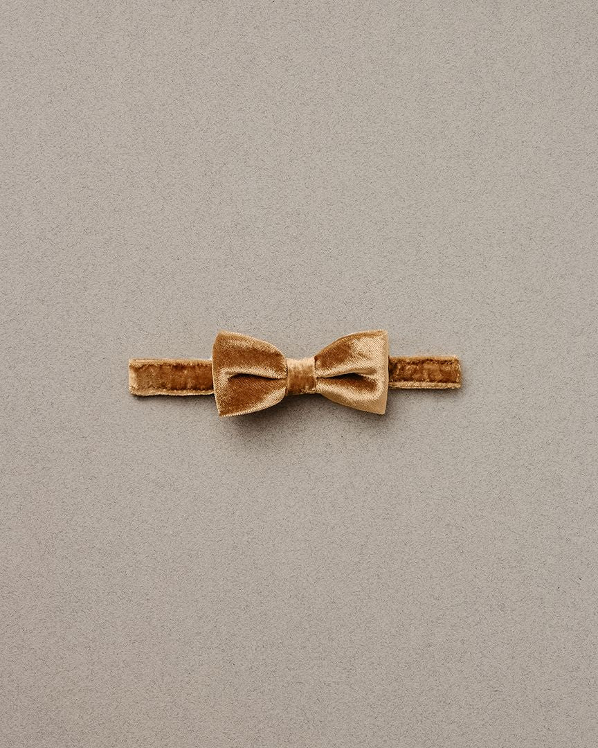 Noralee - Velvet Bow Tie - Golden