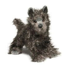 Load image into Gallery viewer, Douglas - Hazel Cairn Terrier