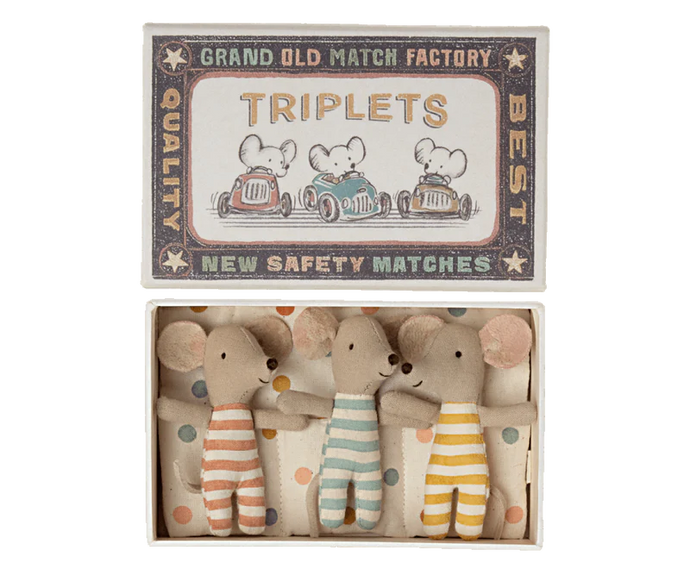 Baby Triplets in Box