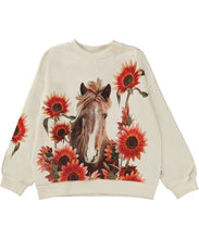 Load image into Gallery viewer, Molo - Organic Mika Sweatshirt - Red Sunflowers