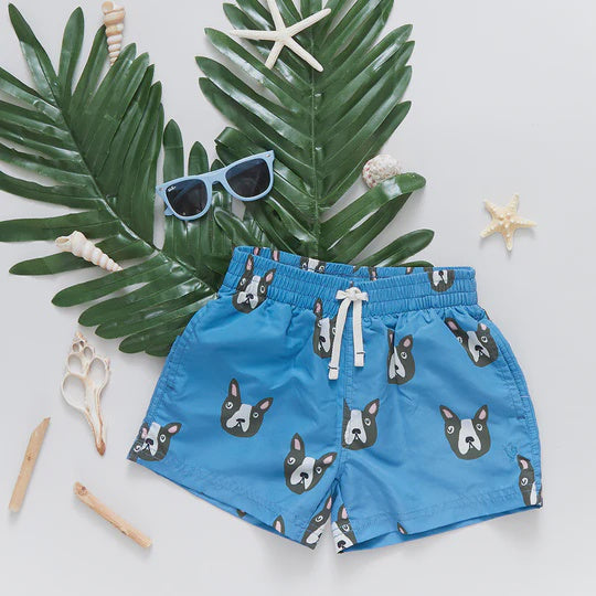 Pink Chicken - Baby Boys Swim Trunk - Blue Boston Terrier